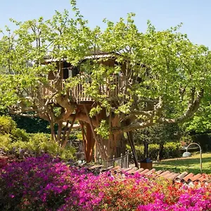  Glamping Dream Tree House Italia
